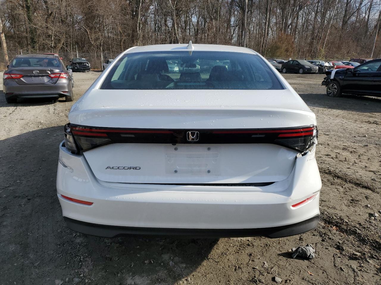 2023 HONDA ACCORD LX VIN:1HGCY1F25PA055506