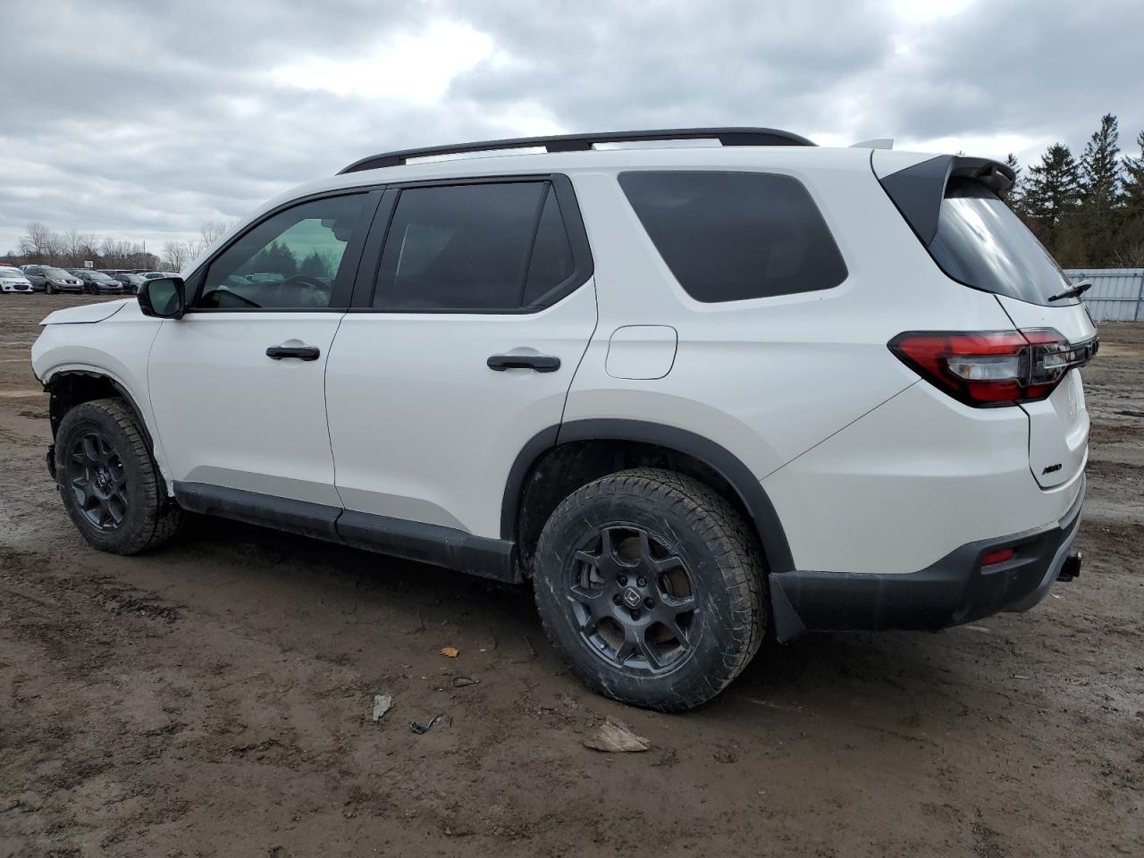 2023 HONDA PILOT TRAILSPORT VIN:5FNYG1H64PB502177