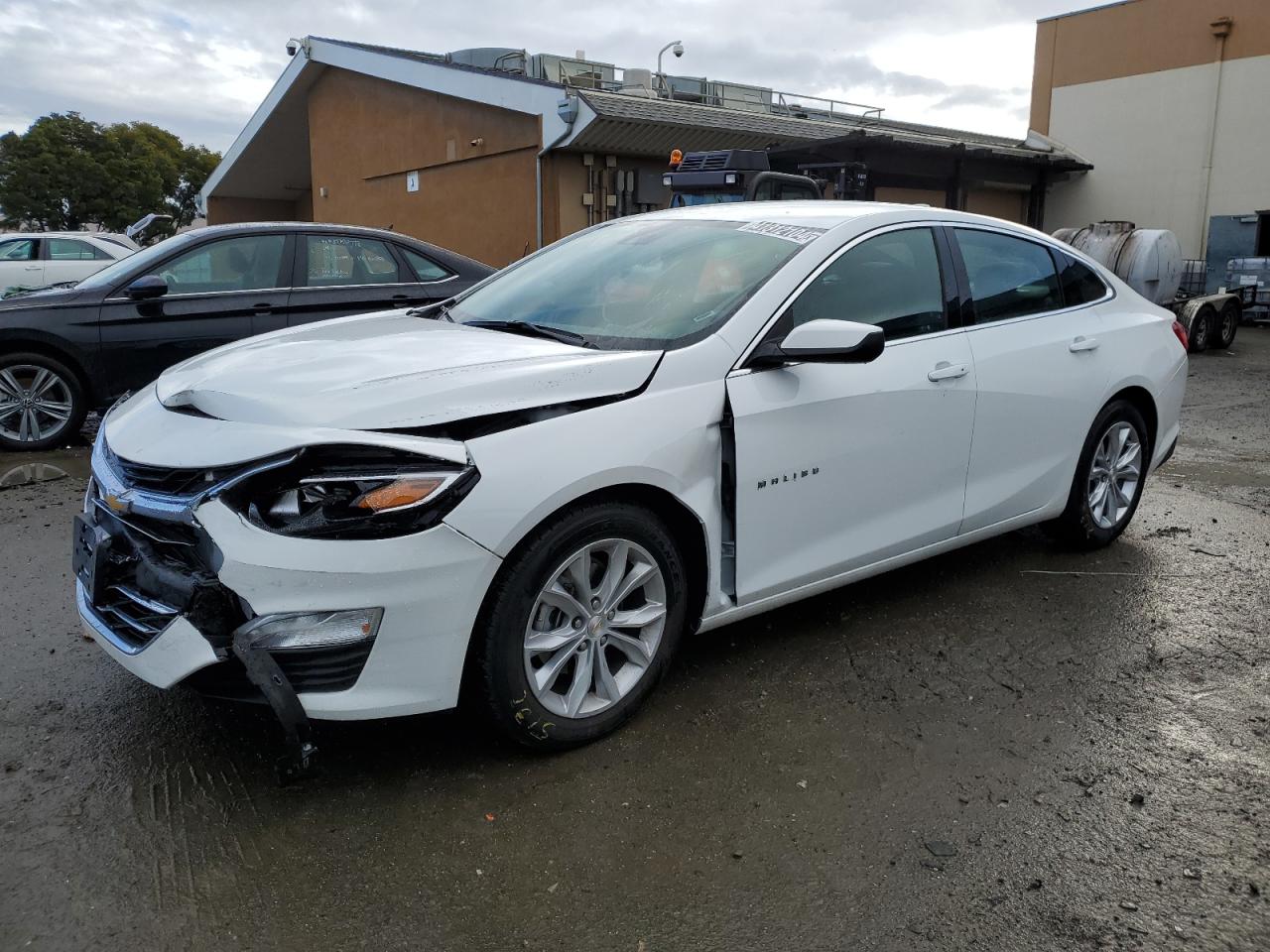 2023 CHEVROLET MALIBU LT VIN:1G1ZD5ST5PF183895