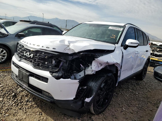 2022 KIA TELLURIDE SX VIN:5XYP5DHC1NG200988