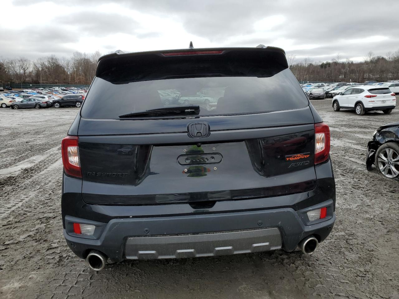 2022 HONDA PASSPORT TRAIL SPORT VIN:5FNYF8H67NB004290