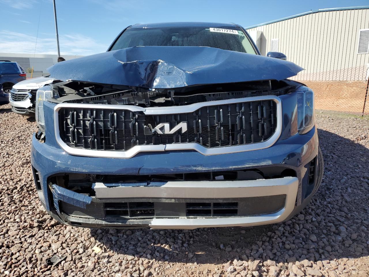 2023 KIA TELLURIDE EX VIN:5XYP3DGC5PG356462