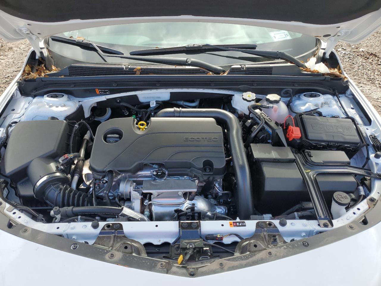 2023 CHEVROLET MALIBU LT VIN:1G1ZD5ST4PF214098