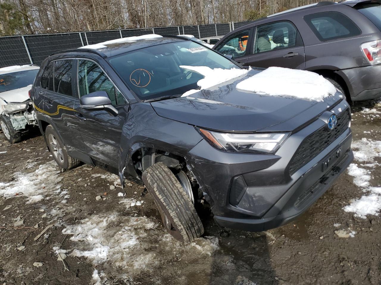 2023 TOYOTA RAV4 XLE VIN:4T3RWRFV2PU094921