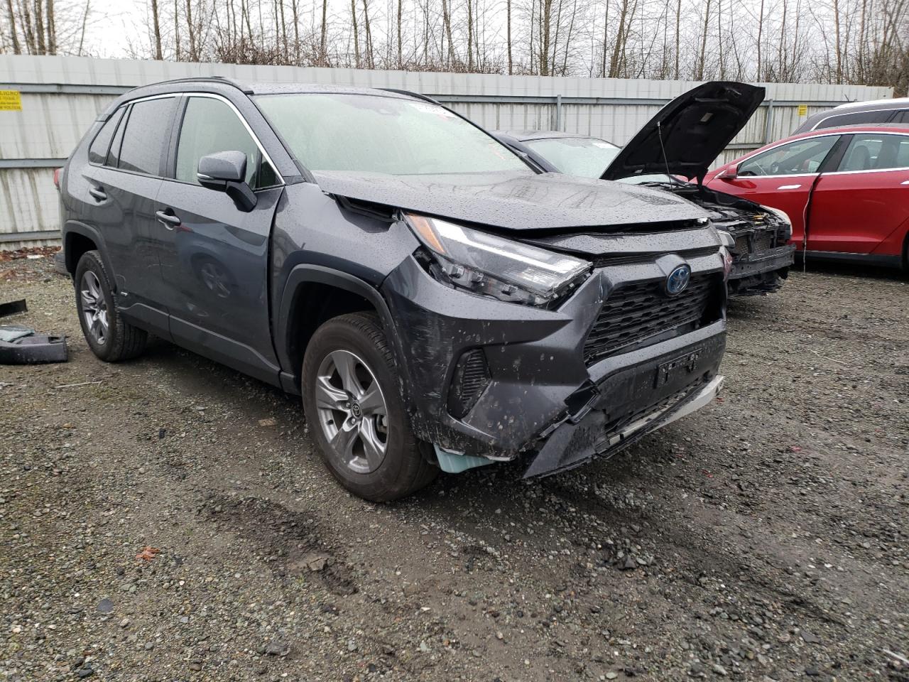 2023 TOYOTA RAV4 XLE VIN:JTMRWRFV2PD571022