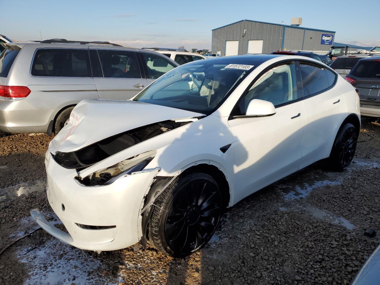 2023 TESLA MODEL Y  VIN:7SAYGDEF3PF591703