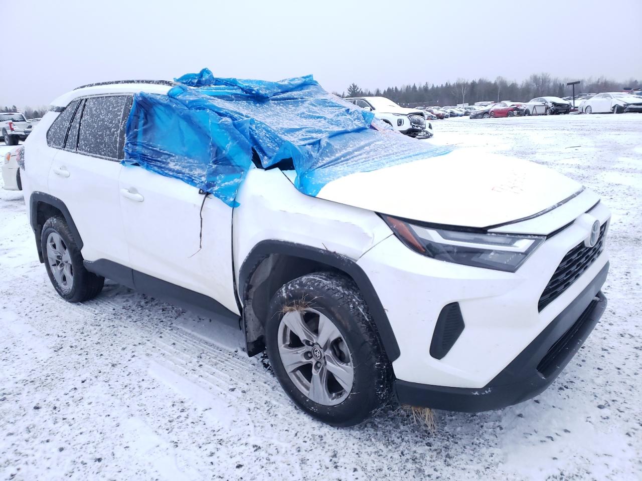 2022 TOYOTA RAV4 XLE VIN:2T3R1RFV5NC319880