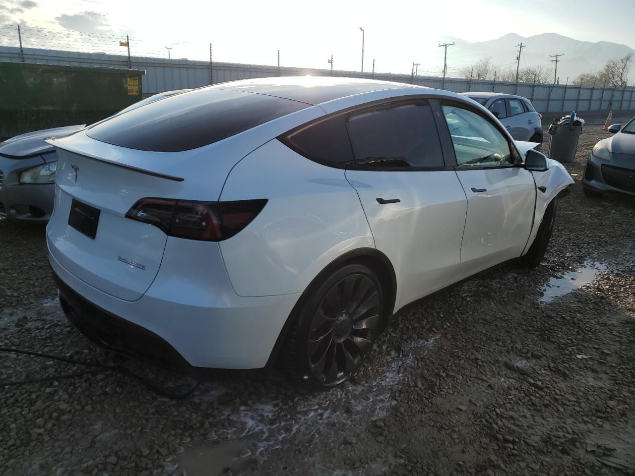 2023 TESLA MODEL Y  VIN:7SAYGDEF3PF591703