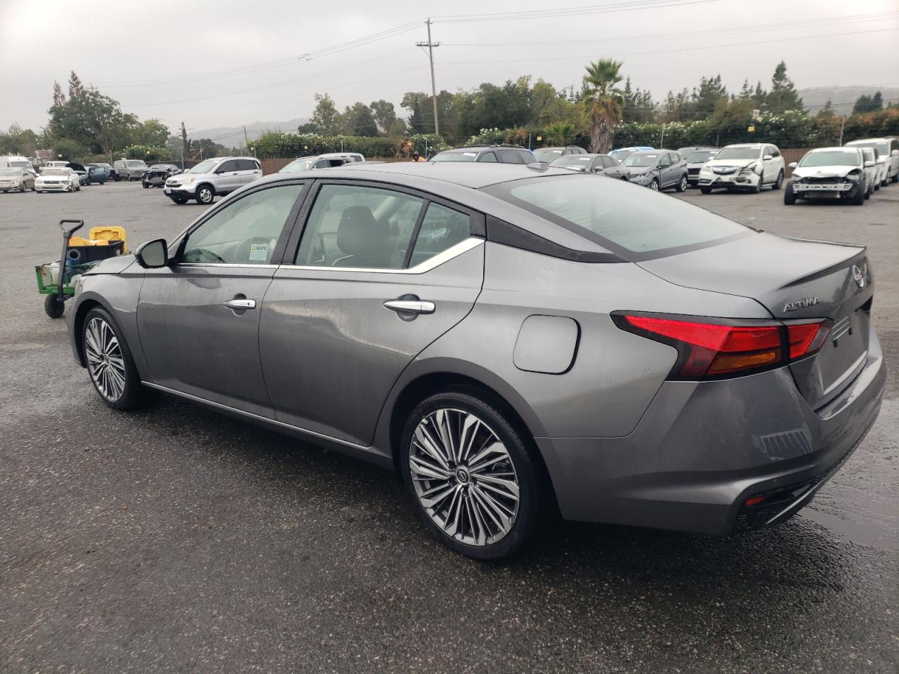 2023 NISSAN ALTIMA SL VIN:1N4BL4EV1PN344659