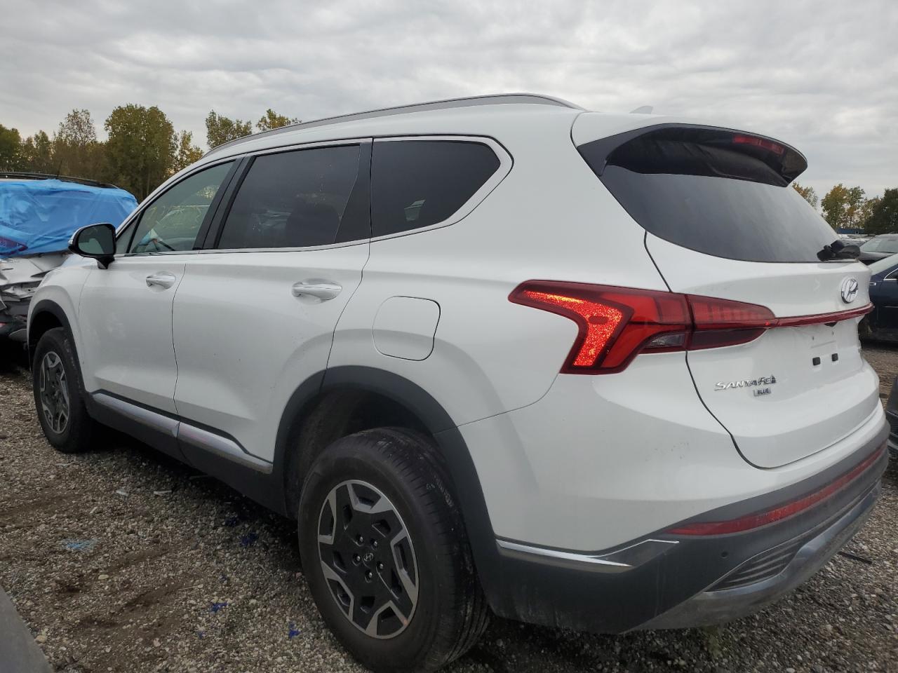 2023 HYUNDAI SANTA FE BLUE VIN:5NMS2DA11PH008734