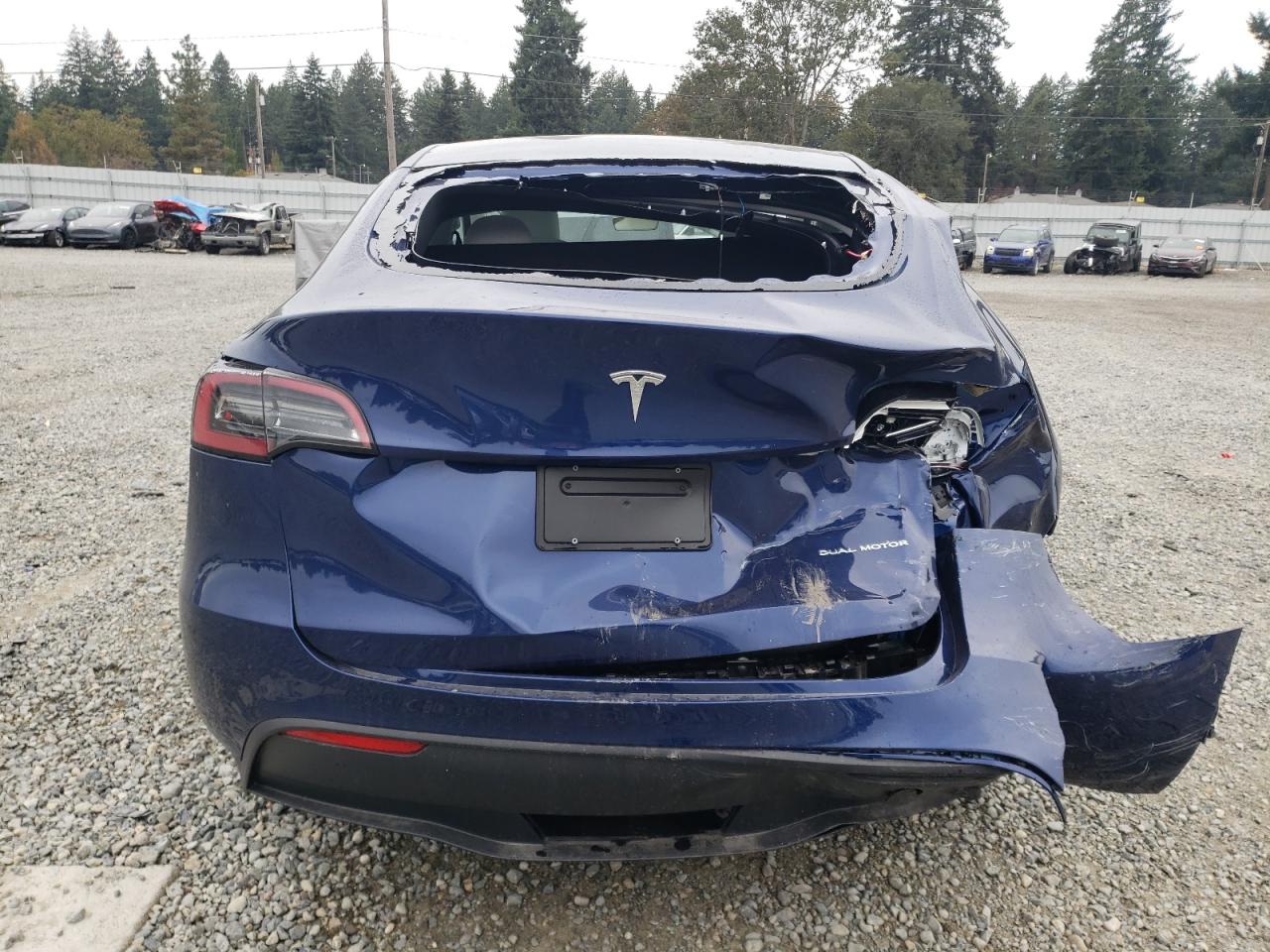 2023 TESLA MODEL Y  VIN:7SAYGDEE5PF842485