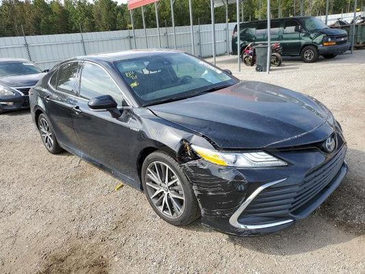 2021 TOYOTA CAMRY XLE VIN: 4T1F31AK9MU557782