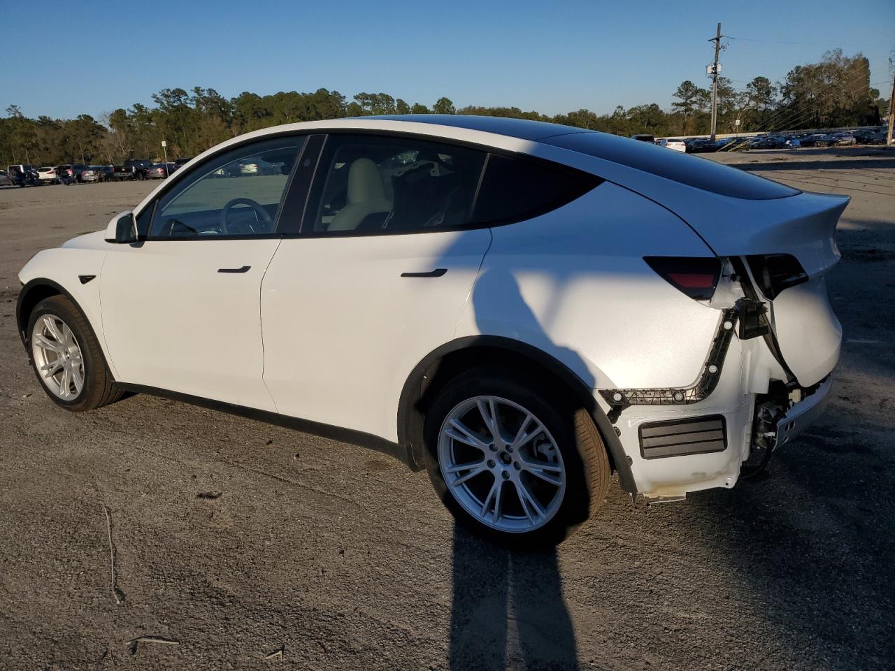 2023 TESLA MODEL Y  VIN:7SAYGDEEXPA152793