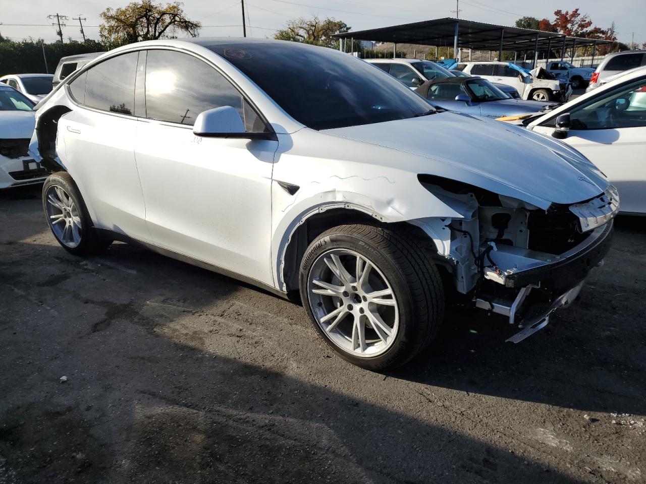 2023 TESLA MODEL Y  VIN:7SAYGAEE0PF816164