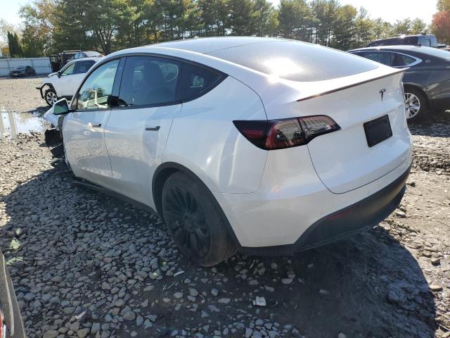 2021 TESLA MODEL Y VIN: 5YJYGDEE3MF249166