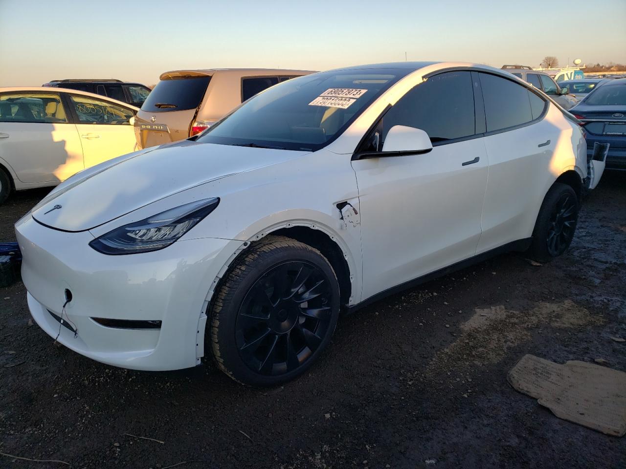 2023 TESLA MODEL Y  VIN:7SAYGDEE7PA050013