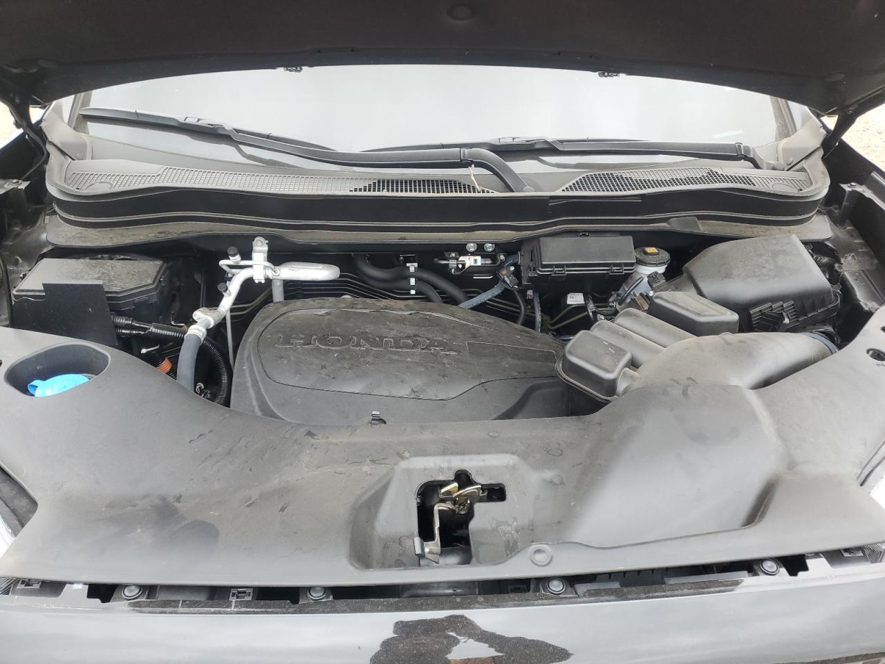 2023 HONDA PASSPORT TRAIL SPORT VIN:5FNYF8H69PB012443