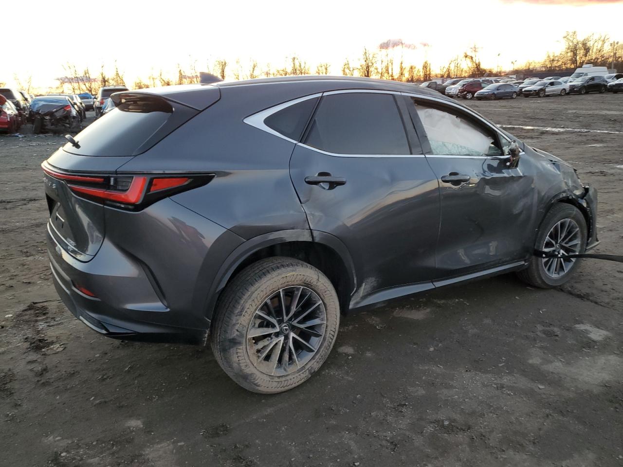 2023 LEXUS NX 350 VIN:2T2GGCEZ4PC027507