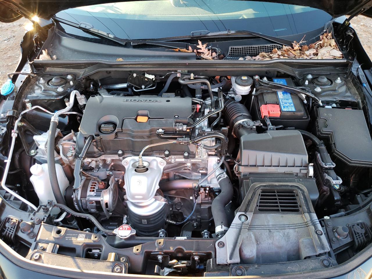 2023 HONDA CIVIC SPORT VIN:2HGFE2F5XPH523205