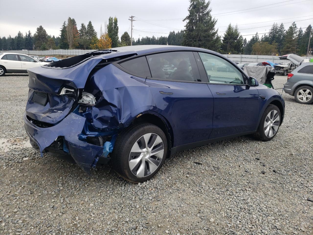 2023 TESLA MODEL Y  VIN:7SAYGDEE5PF842485