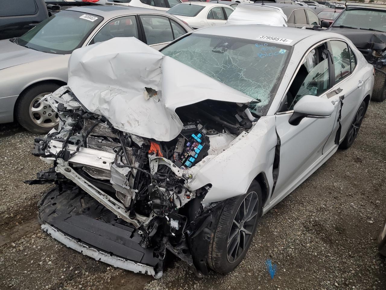 2023 TOYOTA CAMRY SE NIGHT SHADE VIN:4T1T11AK0PU092144