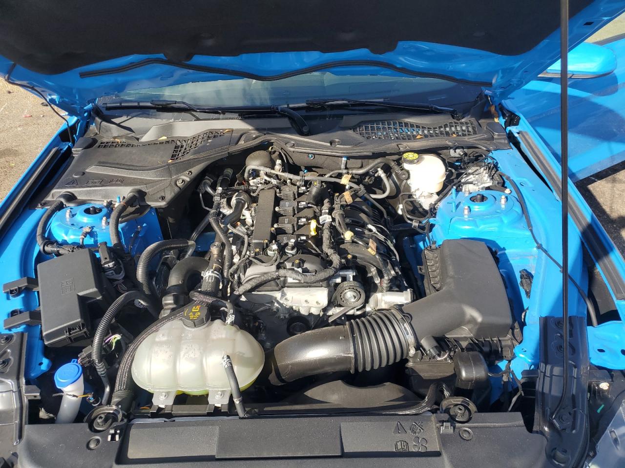 2023 FORD MUSTANG  VIN:1FA6P8TH3P5113367