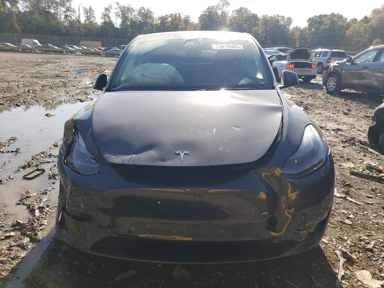 2022 TESLA MODEL Y  VIN:7SAYGDEF7NF442059