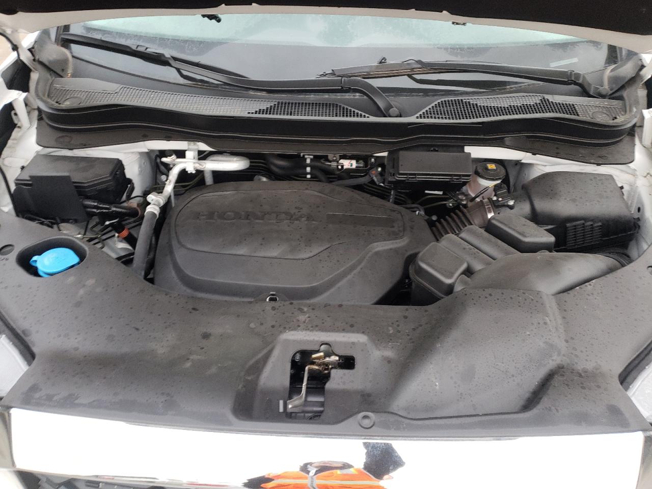 2023 HONDA PASSPORT EXL VIN:5FNYF8H54PB018173
