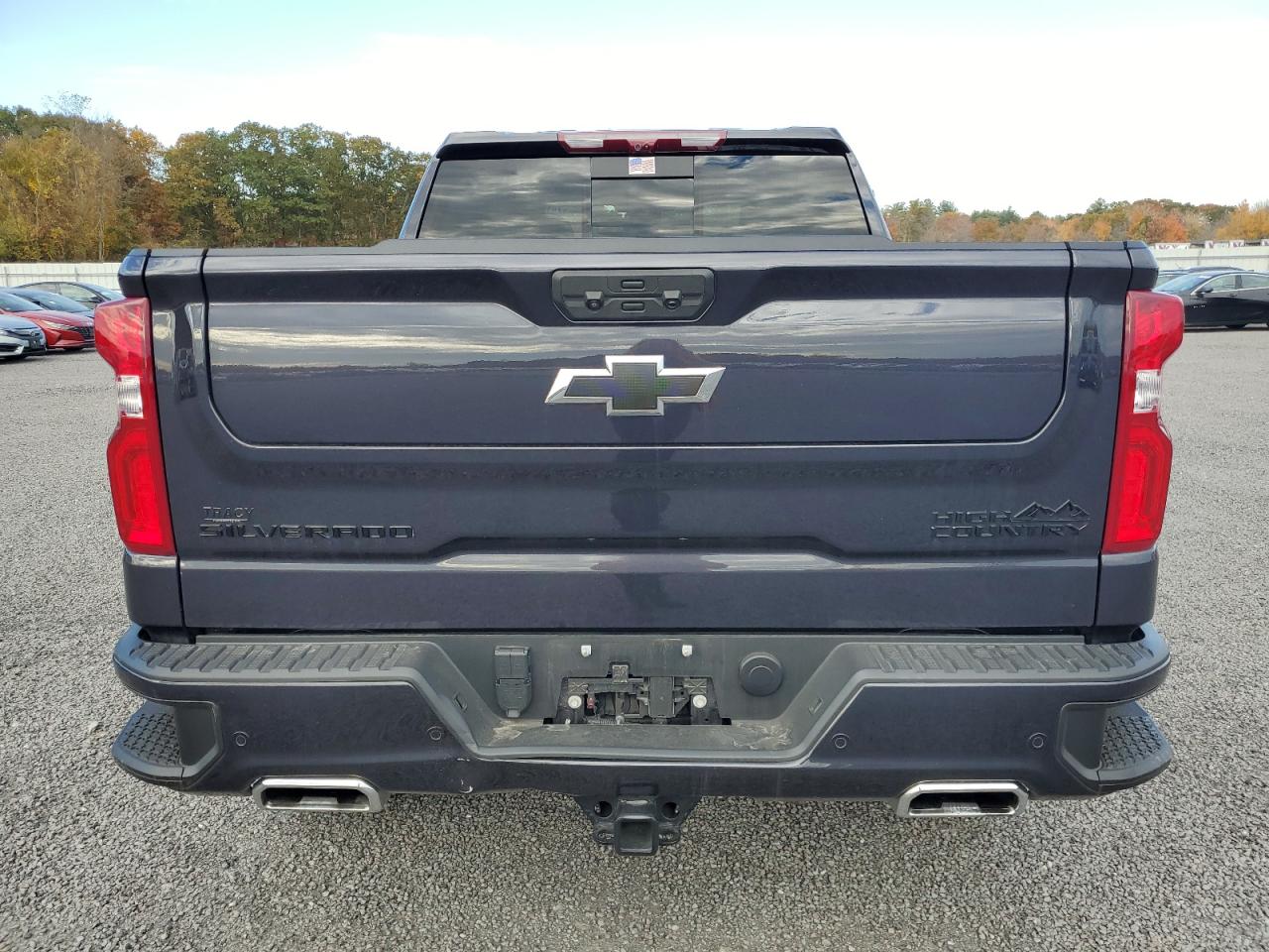 2023 CHEVROLET SILVERADO K1500 HIGH COUNTRY VIN:3GCUDJEL8PG173107