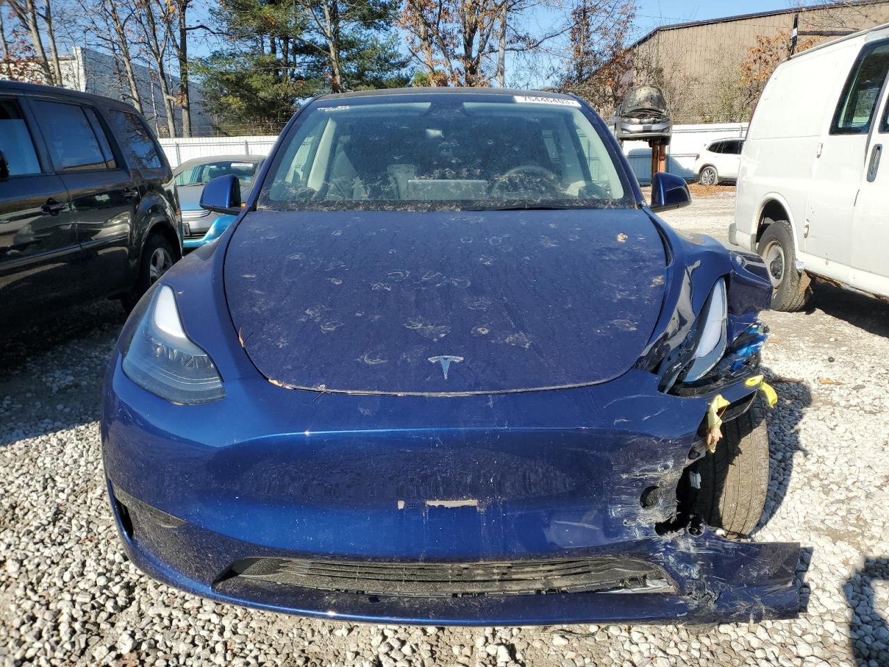 2023 TESLA MODEL Y  VIN:7SAYGAEE8PF799811