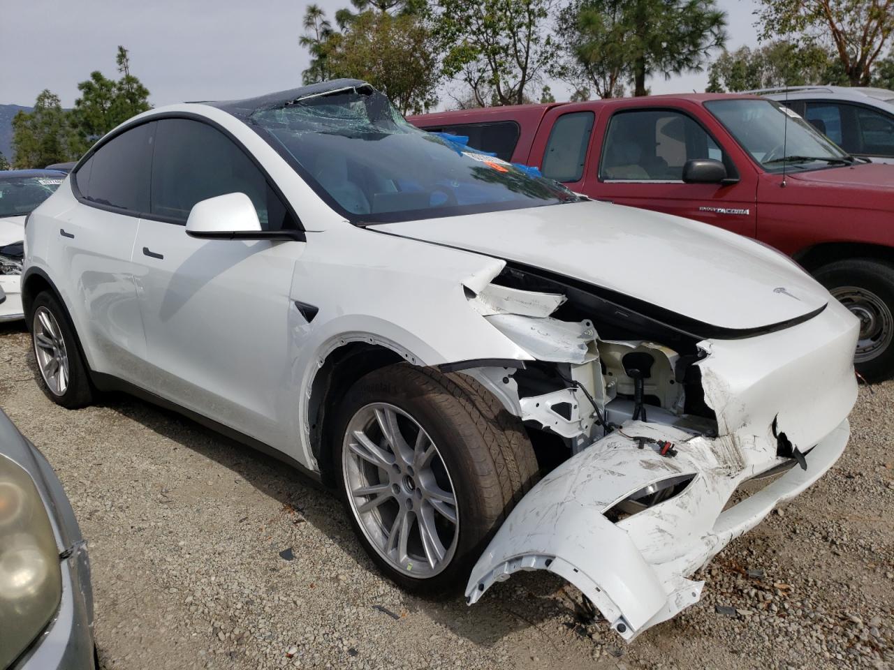 2023 TESLA MODEL Y  VIN:7SAYGDEE8PF636710