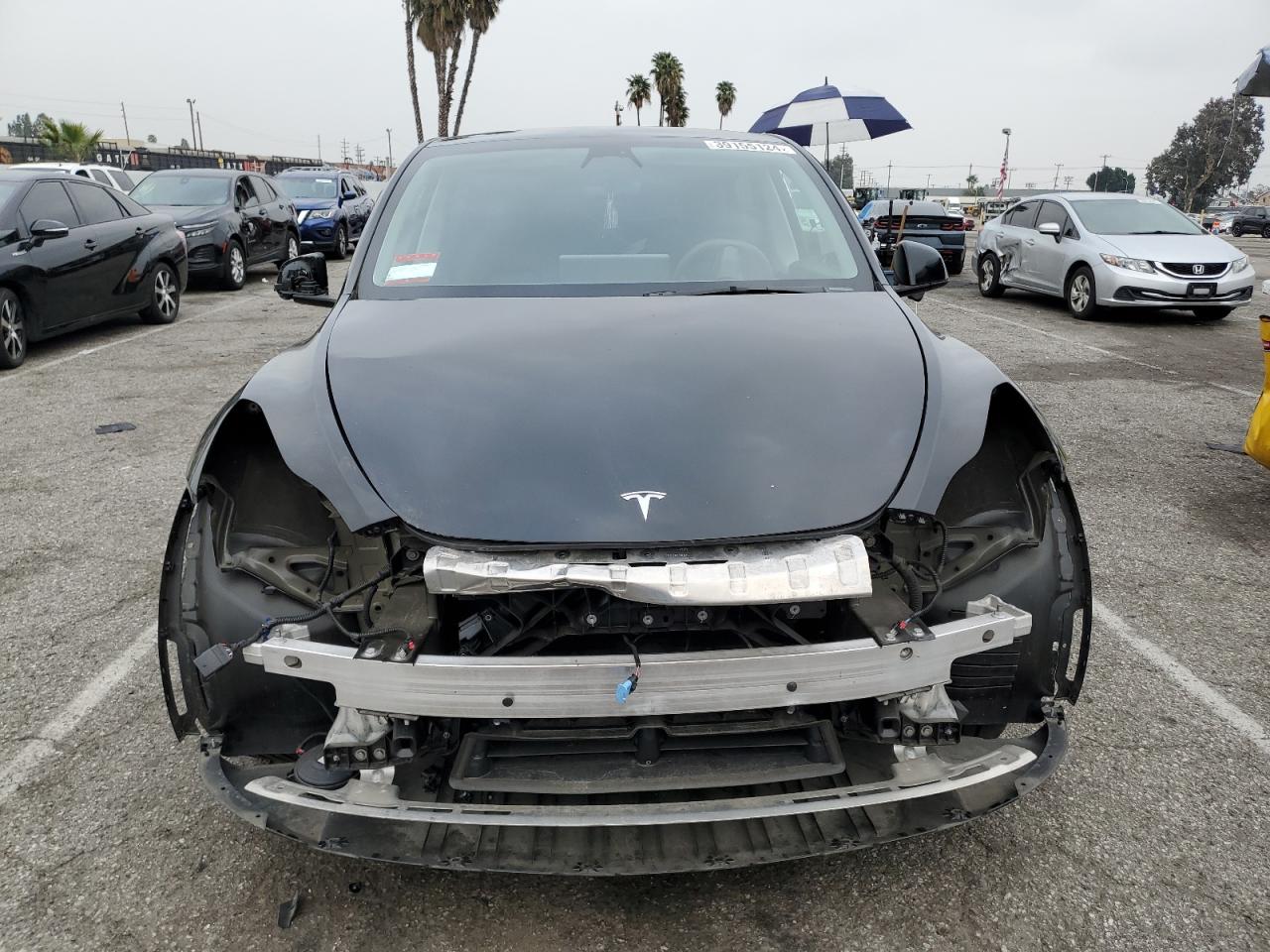 2023 TESLA MODEL Y  VIN:7SAYGDEE5PA025854