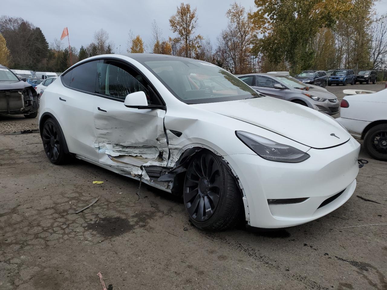 2023 TESLA MODEL Y  VIN:7SAYGDEF8PF812731