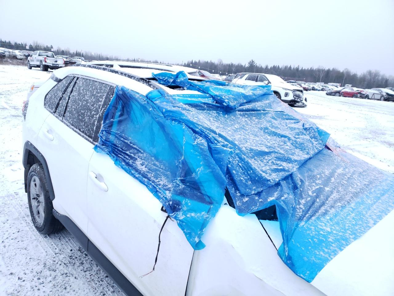 2022 TOYOTA RAV4 XLE VIN:2T3R1RFV5NC319880