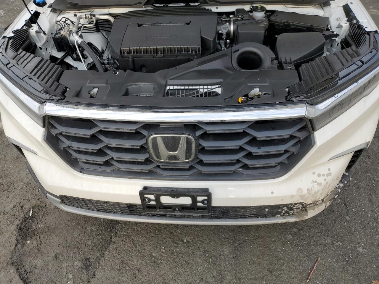 2024 HONDA PILOT EXL VIN:5FNYG1H41RB011048