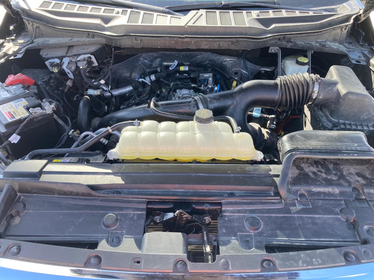 2023 FORD F150 SUPERCREW VIN:1FTEW1CP1PKD44339