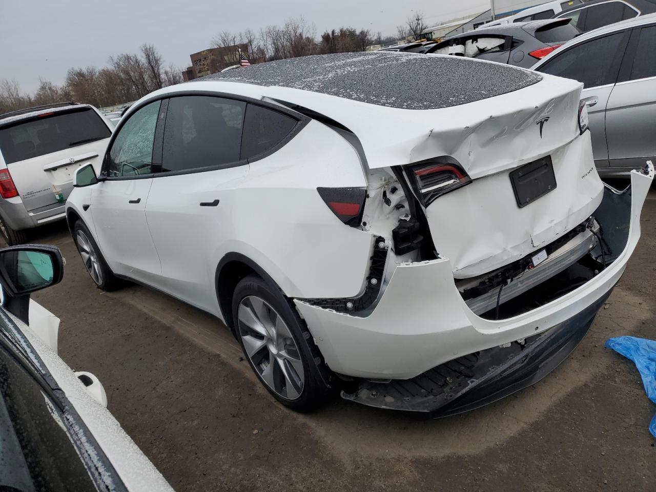 2022 TESLA MODEL Y  VIN:7SAYGDEE5NF322641