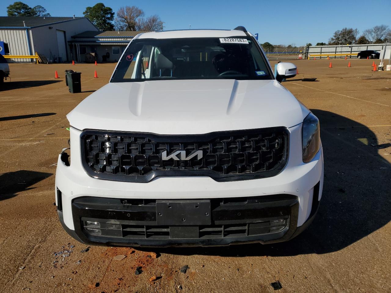 2024 KIA TELLURIDE SX VIN:5XYP5DGC2RG413858