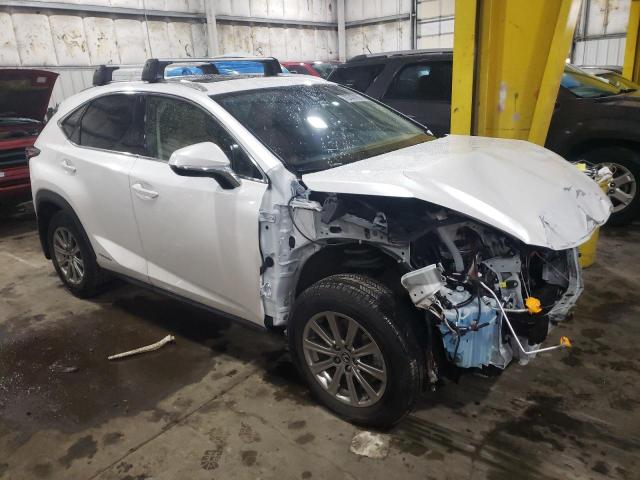 2021 LEXUS NX 300H BASE VIN: JTJDJRDZ0M5015499