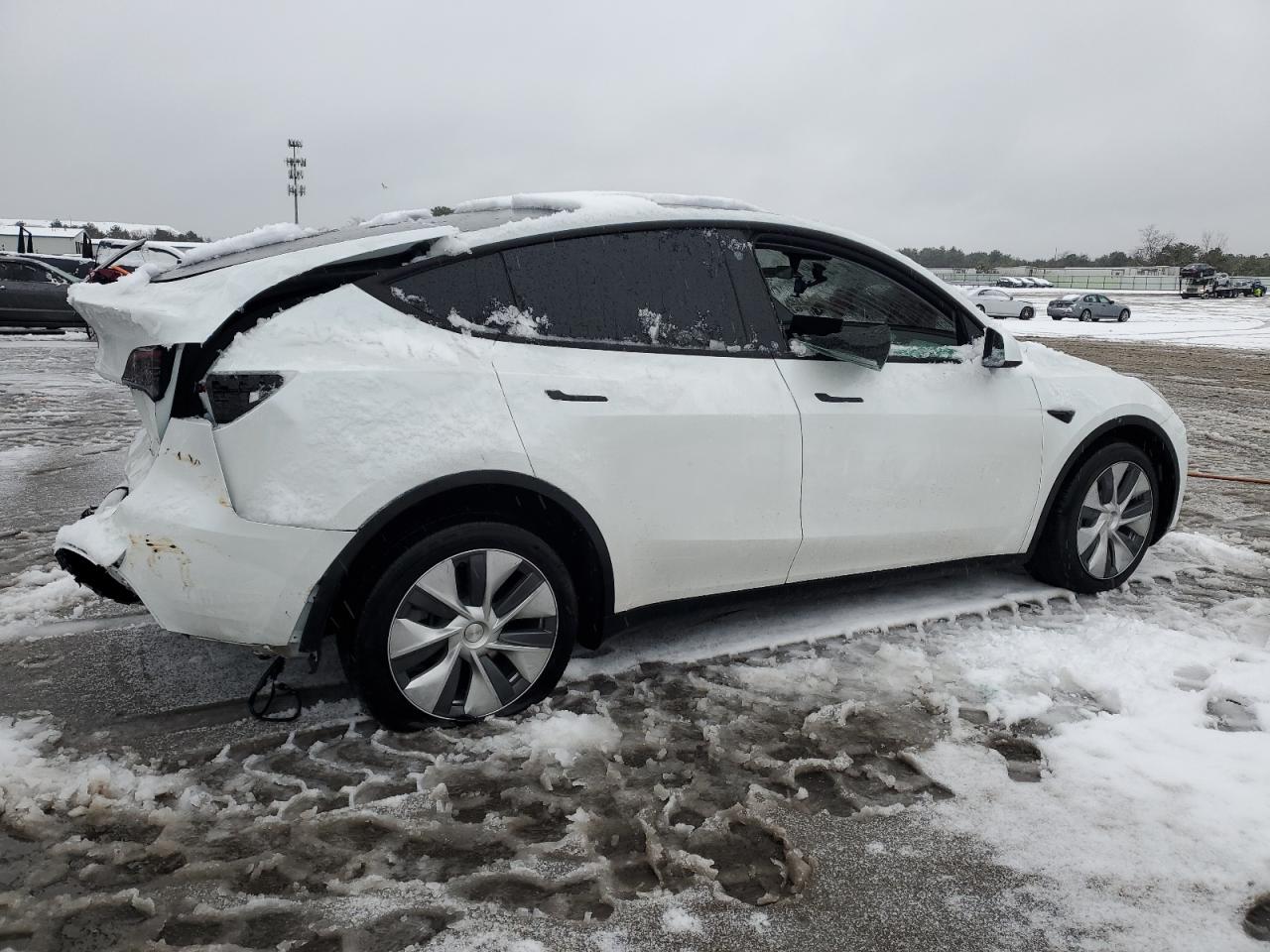 2023 TESLA MODEL Y  VIN:7SAYGDEE5PA035736