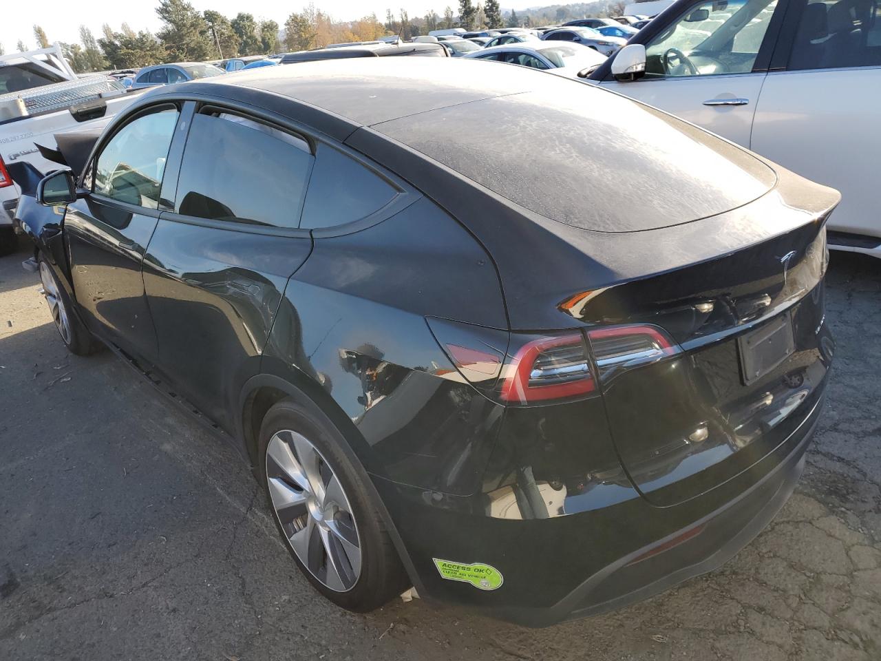 2023 TESLA MODEL Y  VIN:7SAYGAEE4PF634581