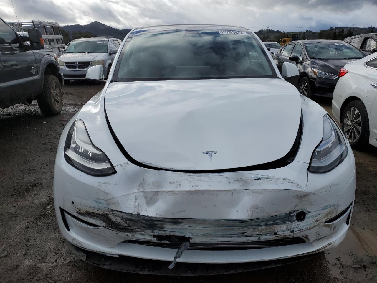 2022 TESLA MODEL Y  VIN:7SAYGDEE2NF426410