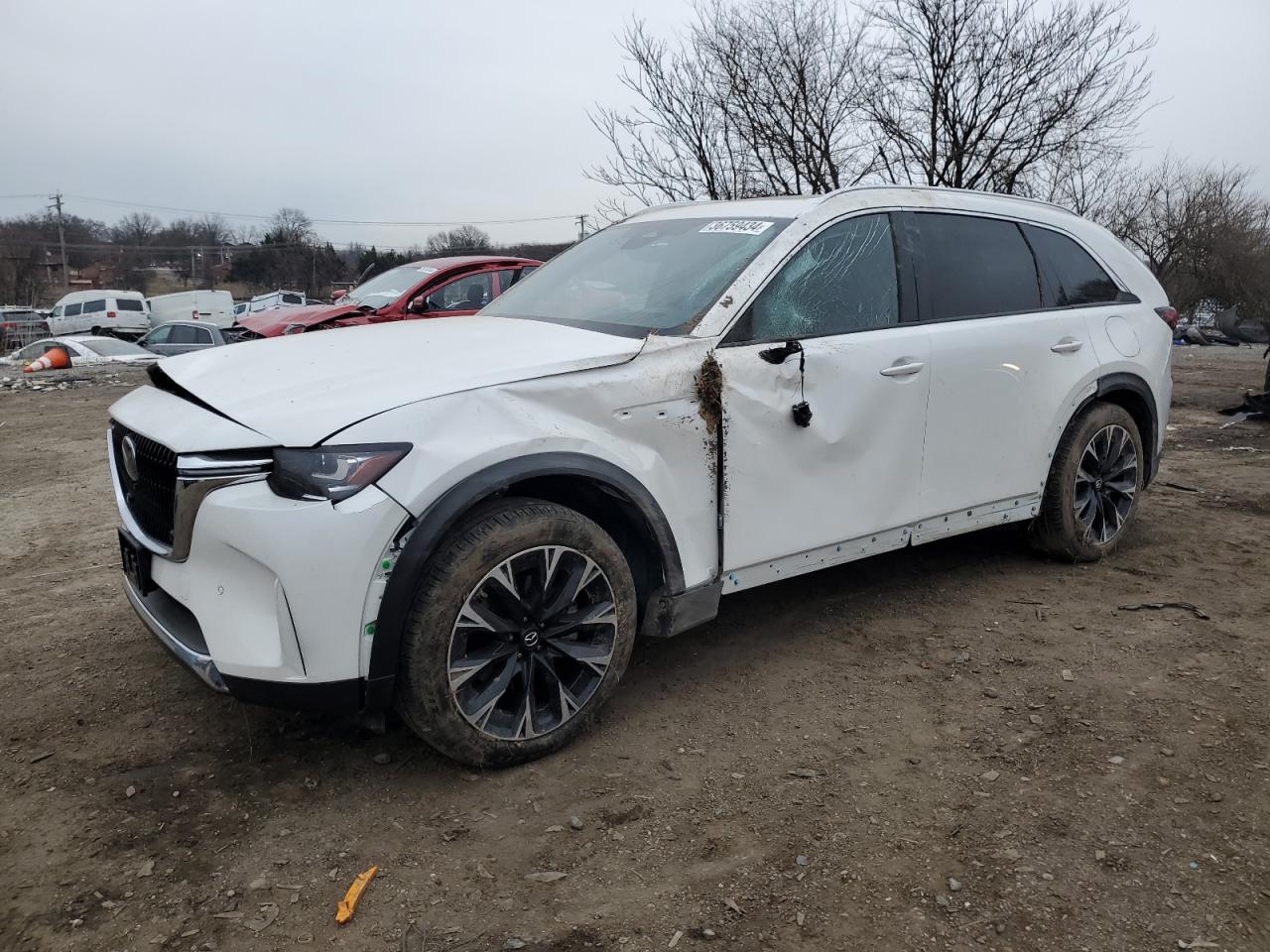 2024 MAZDA CX-90 PREMIUM PLUS VIN:JM3KKEHA4R1100789