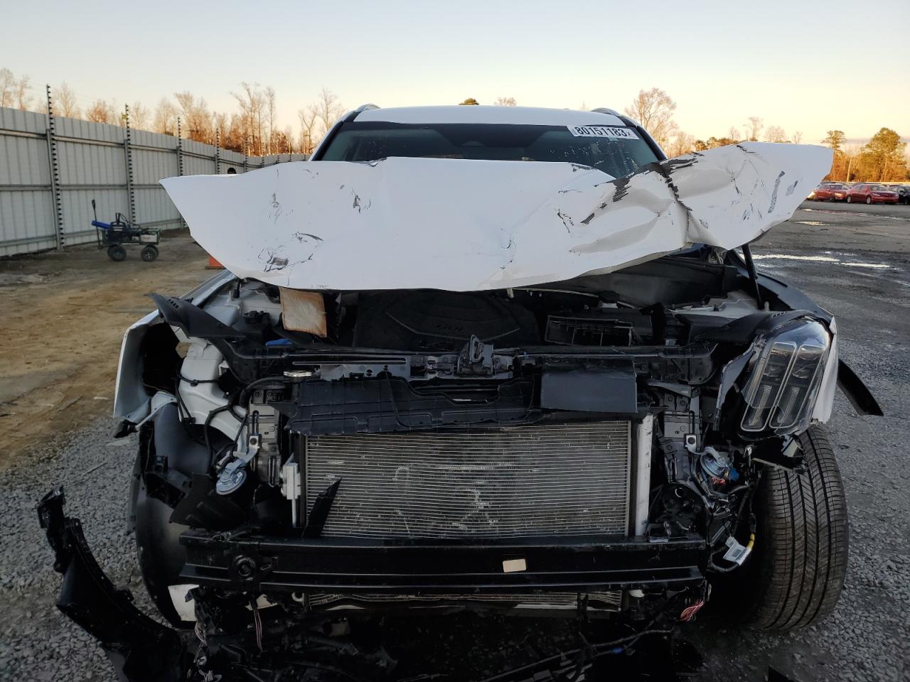 2023 KIA TELLURIDE S VIN:5XYP64GC5PG340219