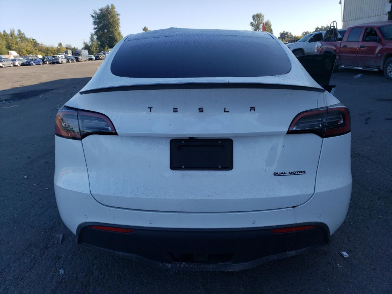 2022 TESLA MODEL Y  VIN:7SAYGDEFXNF461494