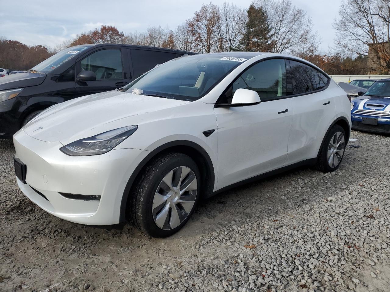 2022 TESLA MODEL Y  VIN:7SAYGDEEXNF384679