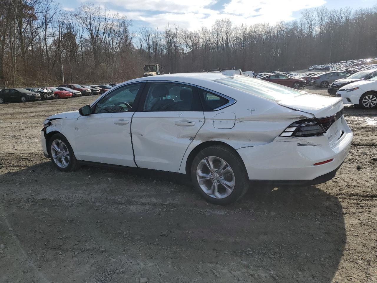 2023 HONDA ACCORD LX VIN:1HGCY1F25PA055506