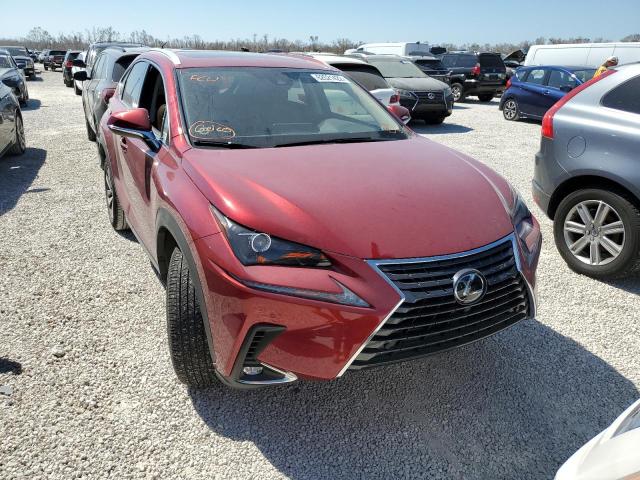 2021 LEXUS NX 300 BASE VIN: JTJGARBZ7M5027875