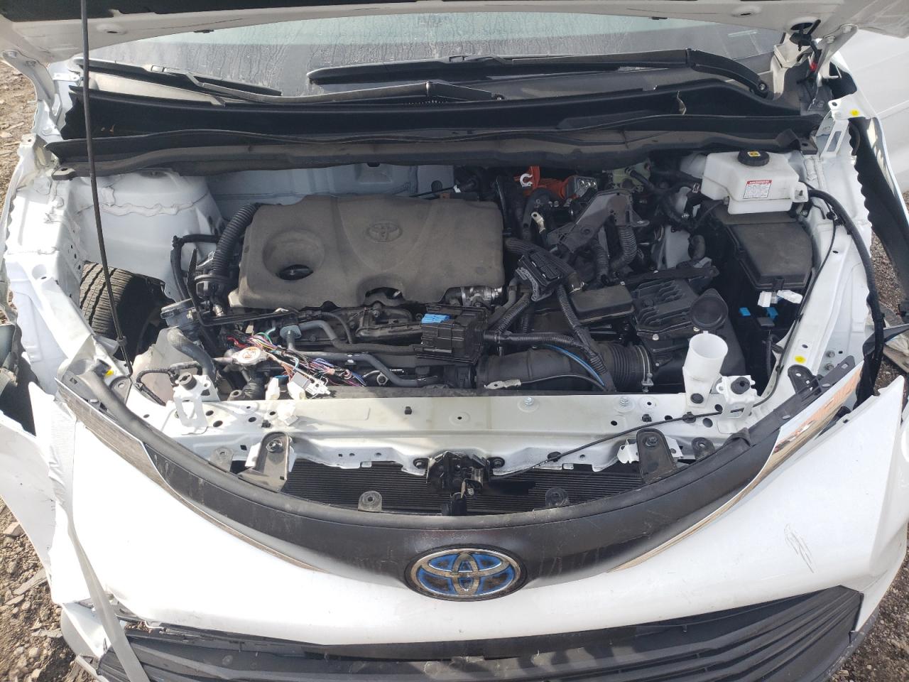 2023 TOYOTA SIENNA LE VIN:5TDKRKECXPS138858