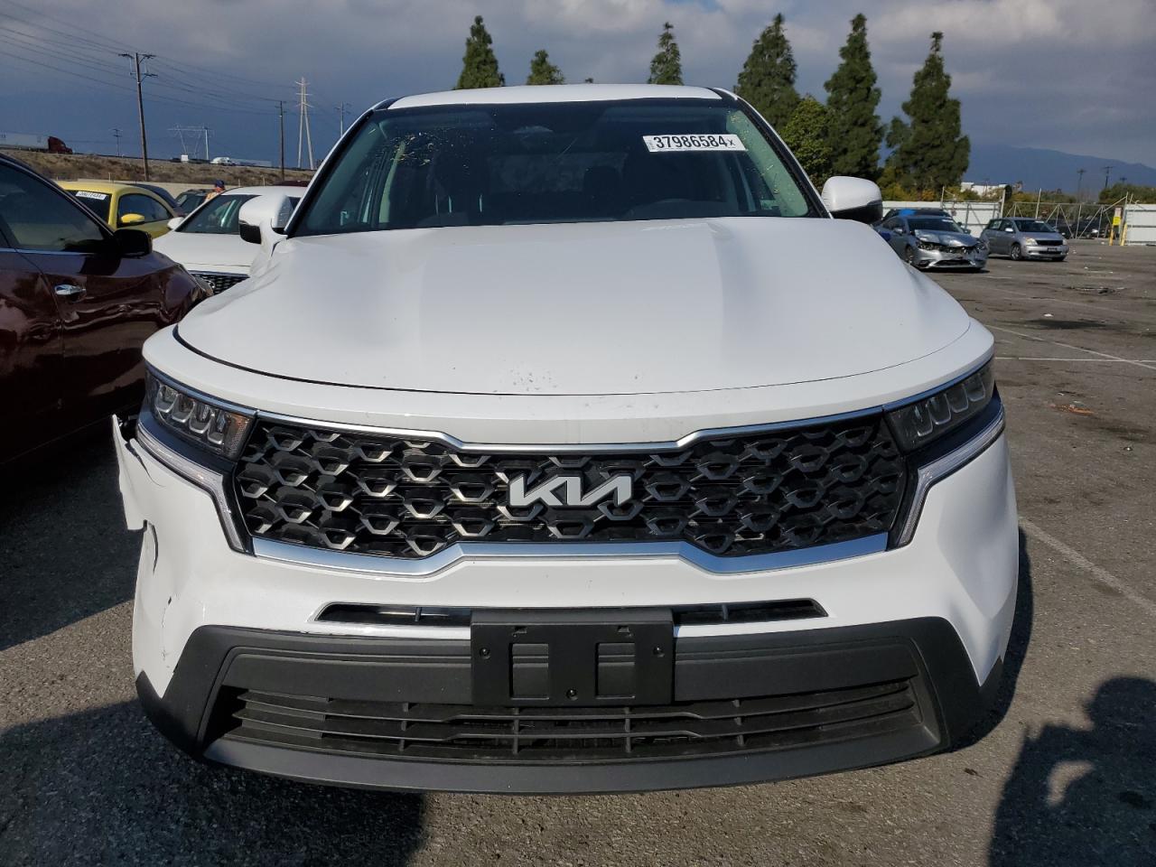 2023 KIA SORENTO LX VIN:5XYRG4LC9PG239552